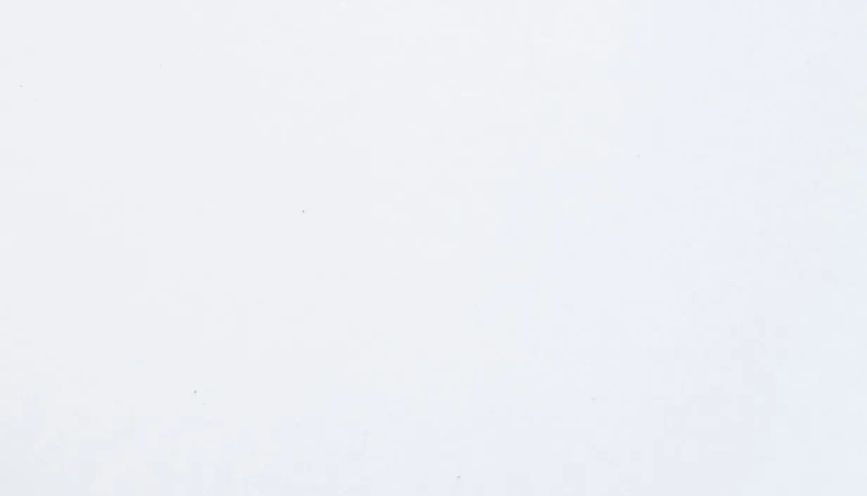 Classic Quartz Milky White