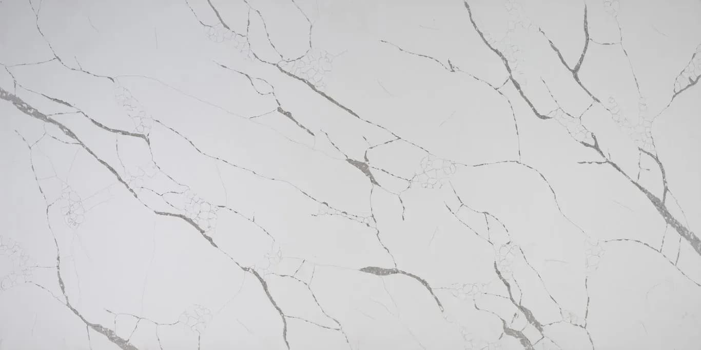 Sempre Calacatta Venato