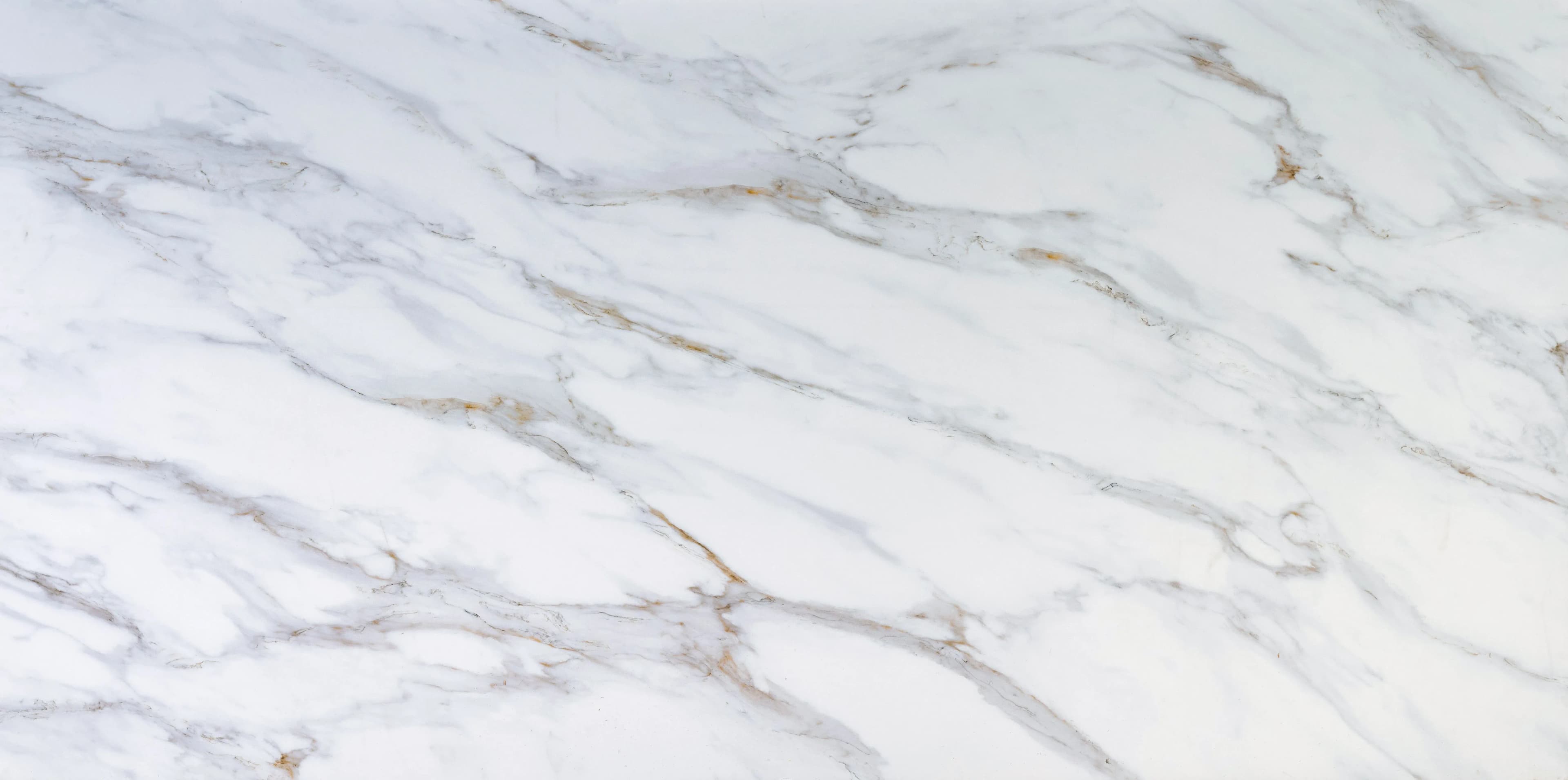 Sempre Calacatta Verona