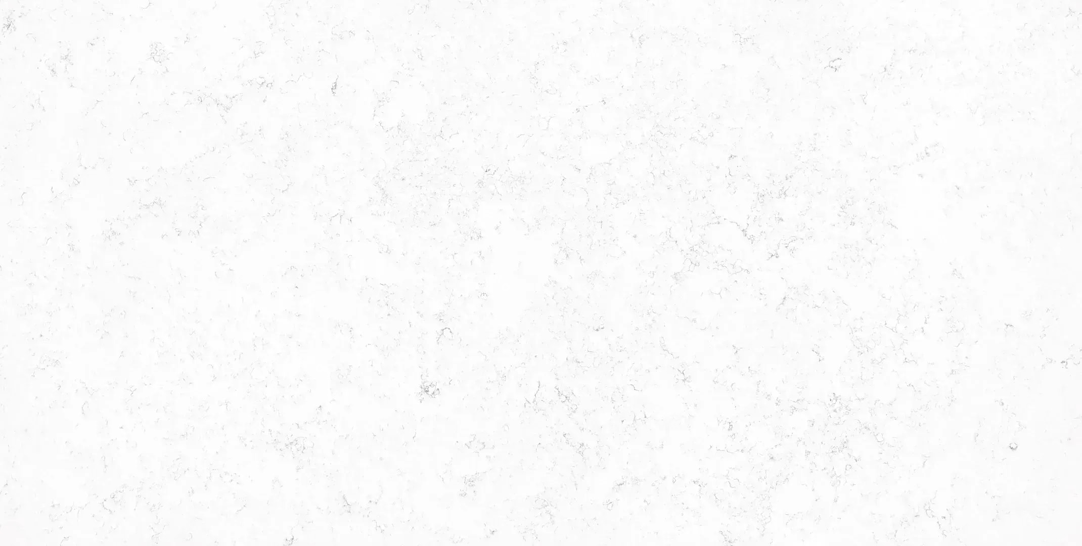 Horizon New Carrara White