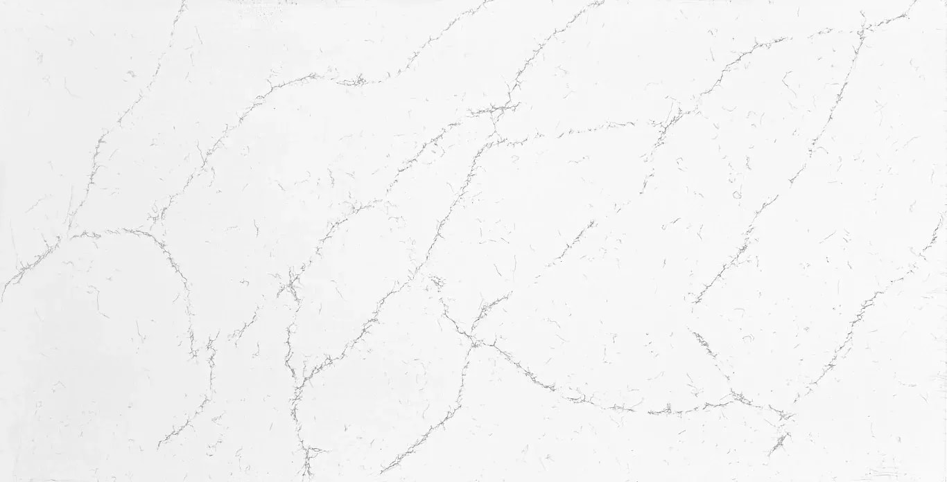 Sempre Carrara Enigma