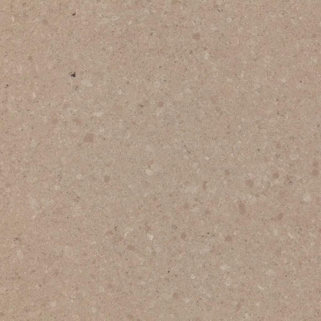 Quartzforms Fossil Ammonite 855