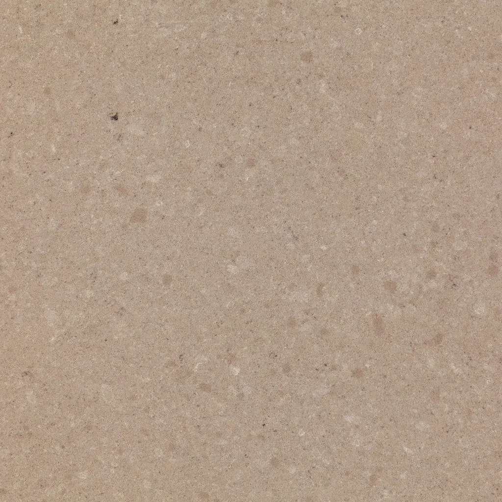 Quartzforms Fossil Ammonite 855